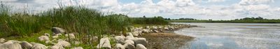 Panoramic View 1