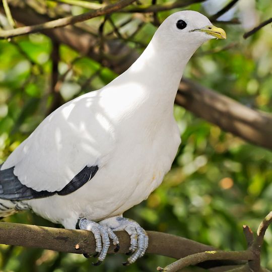 Hope Islands National Park