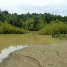 Bognor Common Quarry