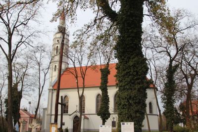 Immagine alternativa