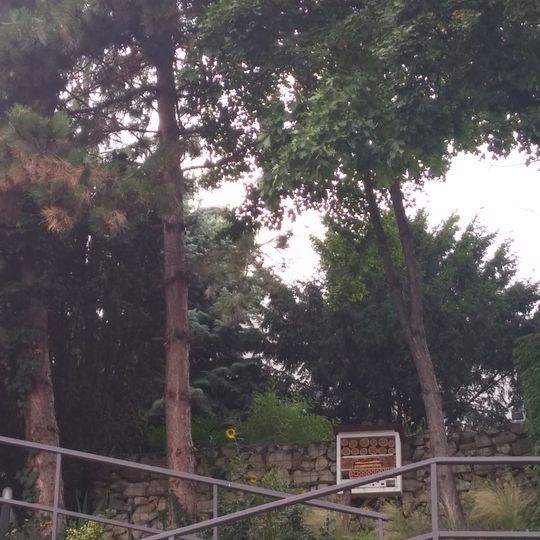 Vila so záhradou, záhrada