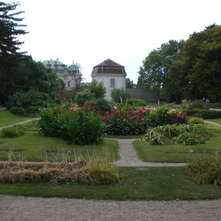 Botaniska trädgården vid Wiens universitet