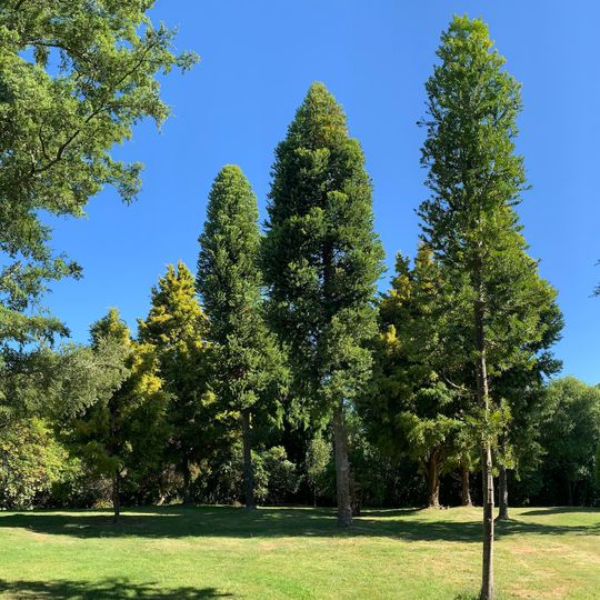 Waipahihi Botanical Gardens