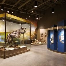 McPherson Museum and Arts Foundation