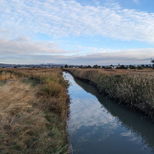 Radke Martinez Regional Shoreline