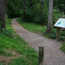 Great Breach and Copley Woods