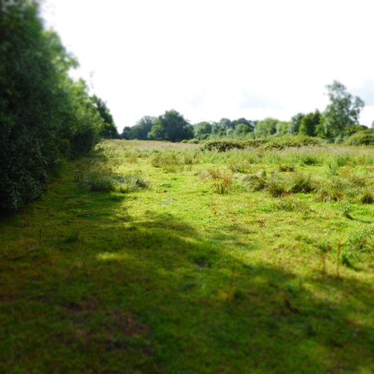 Cransford Meadow