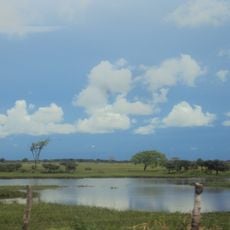 Park Narodowy Santos Luzardo