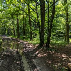 Horynski Krutoskhyly