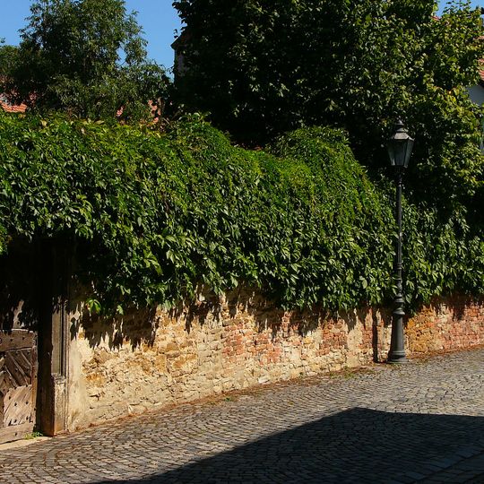 Gartenmauer des Propstgartens mit Tür