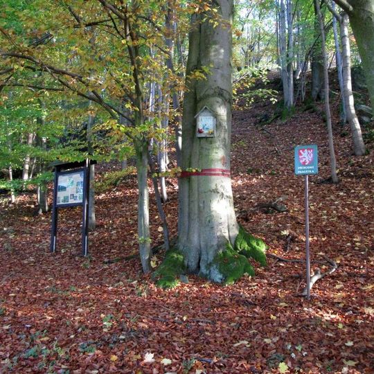 Obrázek jižně od Osojna