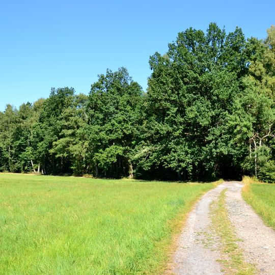 Sokolí hnízdo a bažantnice