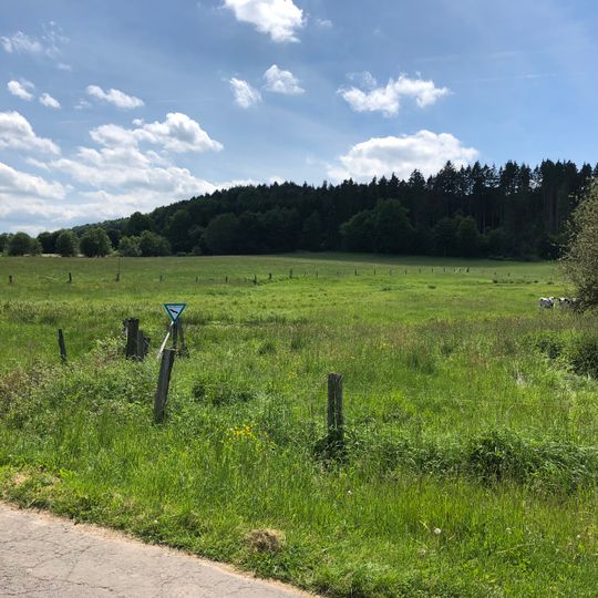 Flachmoorwiese Salzborn