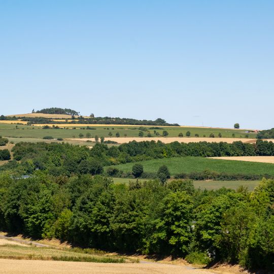 NSG Hellberg-Scheffelberg