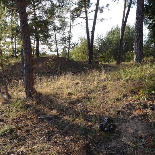 Düne 'Neben Schenkenäcker' zwischen Seeheim und Jugenheim