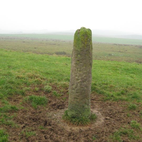 Roman milestone N of Waterfalls Farm