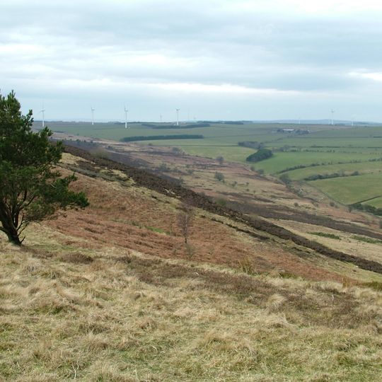 Hedleyhope Fell