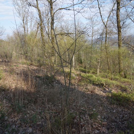 Niederwälder bei Visbeck