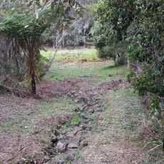 Ferntree Creek National Park