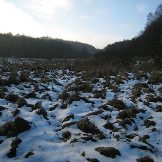 Podmokła