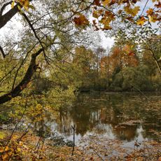 Усадьба князя Шаховского (Нажерово)