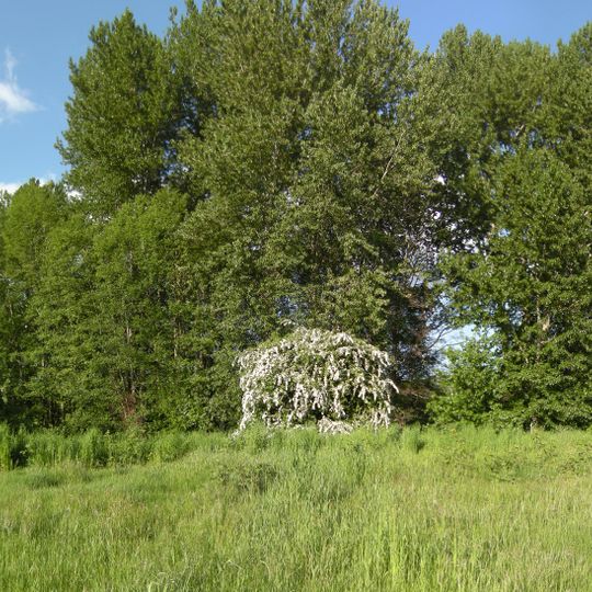 Union Bay Natural Area