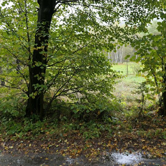 Rozvaliny kříže u cesty mezi Rájcem a Petrovicemi