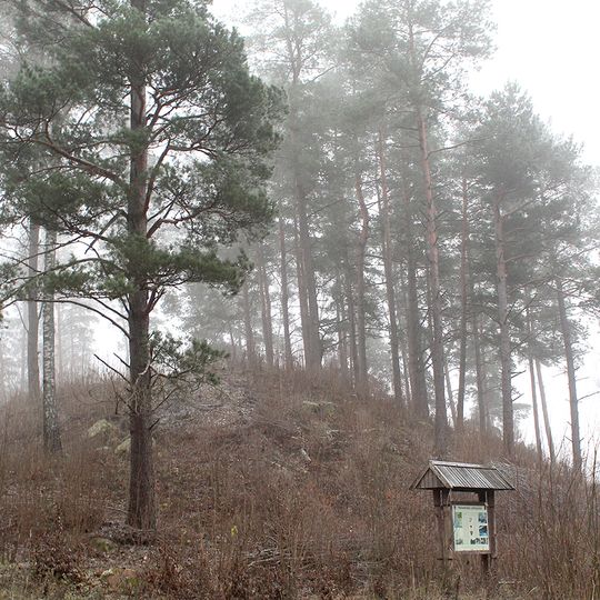 Grodzisko Bołondziszki