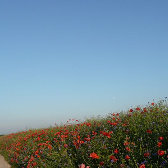 Strzelce, Opole Voivodeship