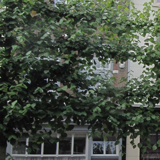 Pand met puntgevel van het Dordtse type