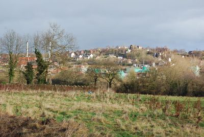 Immagine alternativa