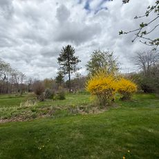 Ecotat Gardens and Arboretum