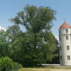 Naturdenkmal Ulme im Schlosspark Großkmehlen