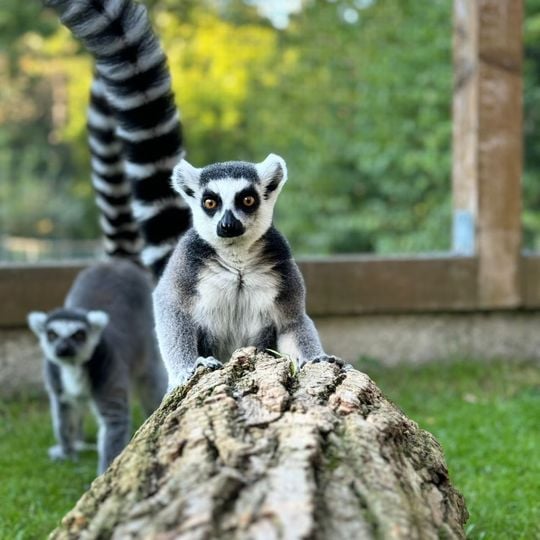 Vogel- und Tierpark Irgenöd