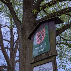 2 kusy lípy srdčité