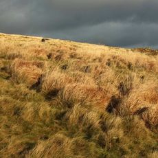 Three enclosed hut groups, Huntingdon Warren