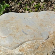 Pierre avec empreintes de sanglier