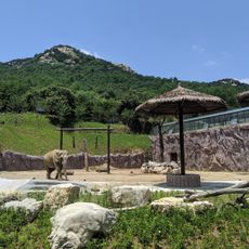 青岛森林野生动物世界