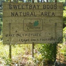 Sweetbay Bogs Preserve