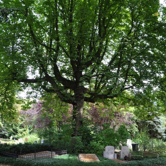 Begraafplaats Kovelswade