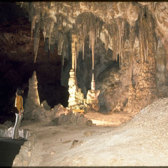 Parco nazionale delle Carlsbad Caverns