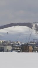 Hokkaido Green Land