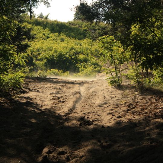 Rezerwat przyrody Skołczanka