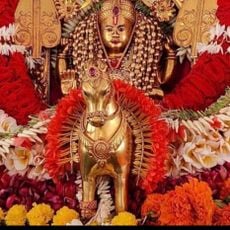 Shri Damodar Sansthaan, Goa