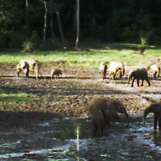 Repubblica Centrafricana