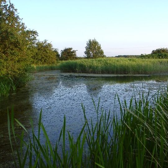 Grantham Canal SSSI