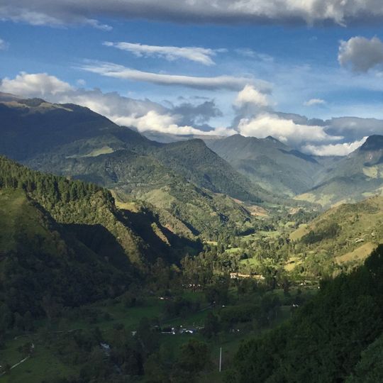 Cocora Valley