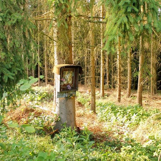 Obrázek v Jestřebí na okraji lesa