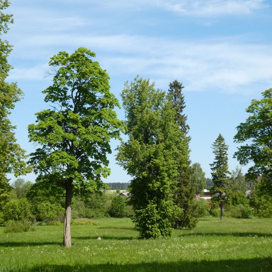 Парк усадьбы «Волгово» на площади 8 га
