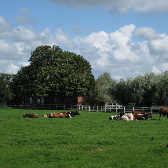 Boerderij, laag met pannen gedekt dak, haaks op elkaar staande vleugels